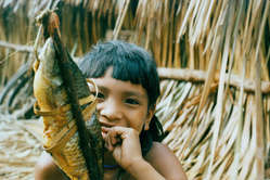 The Enawene Nawe catch their fish in traps and smoke them, Brazil.