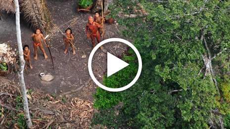 Uncontacted tribe: extraordinary aerial footage