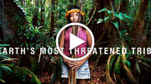 Saving the Awá tribe